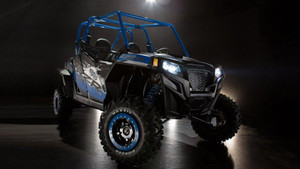2011-14 POLARIS RZR XP900/XP4 900/RZR 800/RZR4 800