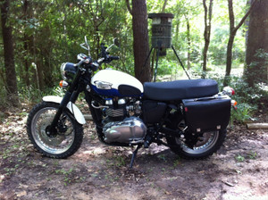 Seat Concepts Comfort Seat - Triumph SCRAMBLER/THRUXTON/BONNEVILLE (2001-2016)